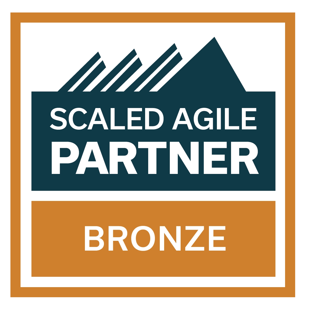 Sai Partner Badge Bronze